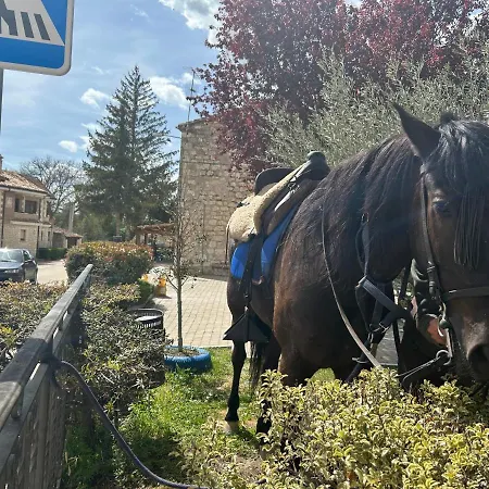 Cantina El Peregrino * Burgos