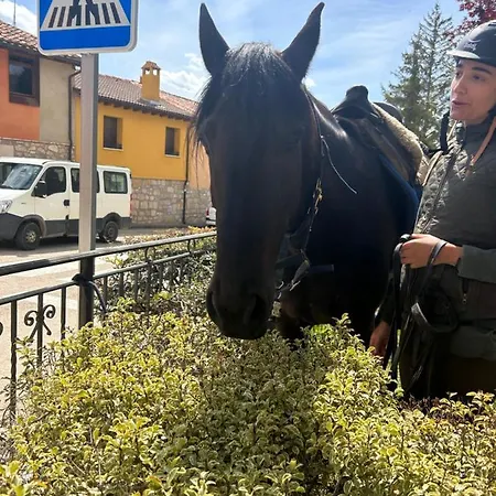 Cantina El Peregrino *